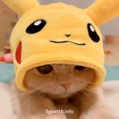 Avatar de Advik